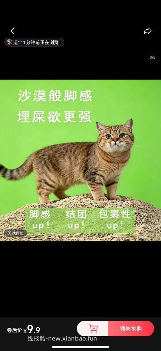 猫砂开车 - 线报酷