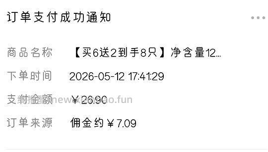 万寿斋竹筒粽120gx8，6.81r可常温储存 - 线报酷