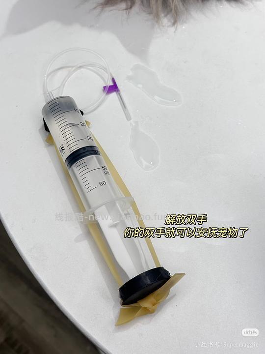讨论/【科普】记录心肾综合征猫咪用药 - 线报酷