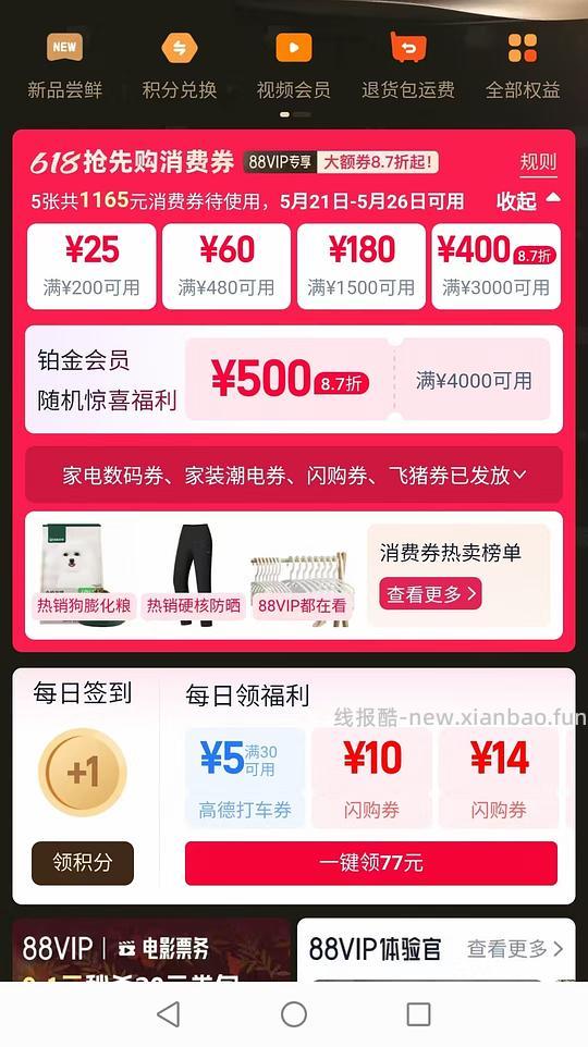 爱沃克成猫3支 - 线报酷