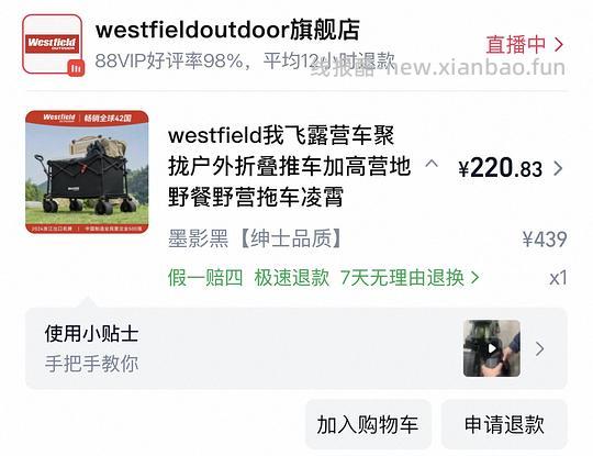 我飞凌霄露营车超好价215