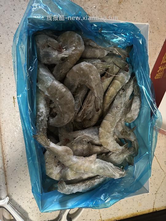 61三斤手掌大的虾 - 线报酷