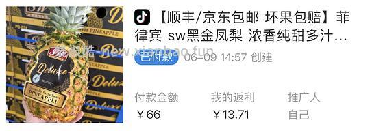 更便宜了！仅需22！6.6斤菲律宾黑金凤梨 需刷券+积分 内含反馈 - 线报酷