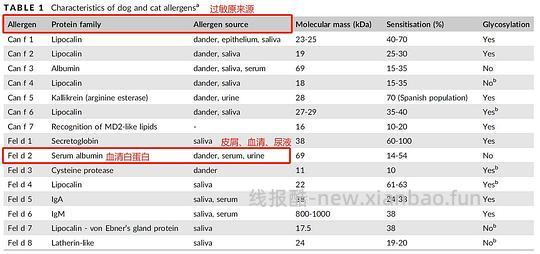 【科普】关于猫毛过敏患者养猫的必备措施及脱敏办法（附医院清单🏥 - 线报酷