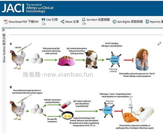 【科普】关于猫毛过敏患者养猫的必备措施及脱敏办法（附医院清单🏥 - 线报酷