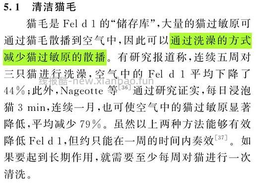 【科普】关于猫毛过敏患者养猫的必备措施及脱敏办法（附医院清单🏥 - 线报酷