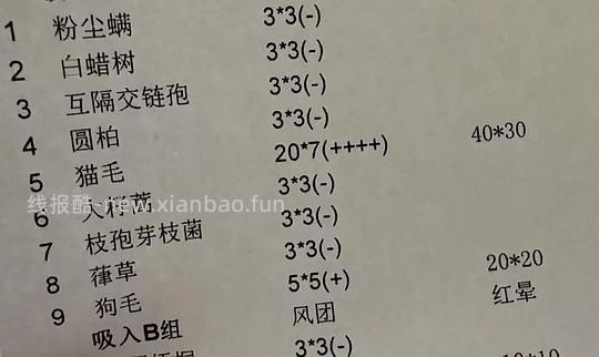 【科普】关于猫毛过敏患者养猫的必备措施及脱敏办法（附医院清单🏥 - 线报酷
