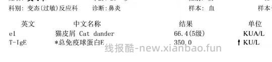 【科普】关于猫毛过敏患者养猫的必备措施及脱敏办法（附医院清单🏥 - 线报酷