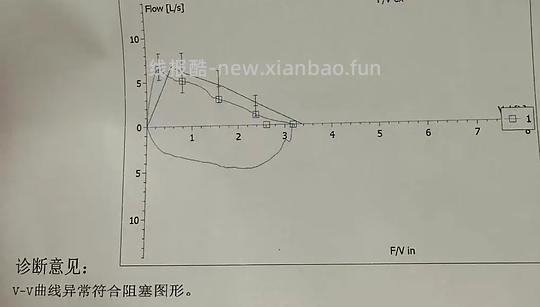 【科普】关于猫毛过敏患者养猫的必备措施及脱敏办法（附医院清单🏥 - 线报酷