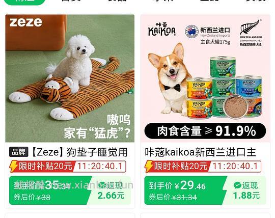 🐶赔钱货zeze老虎垫35 - 线报酷