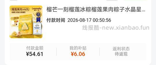 榴芒一刻冰粽16r 10个 - 线报酷
