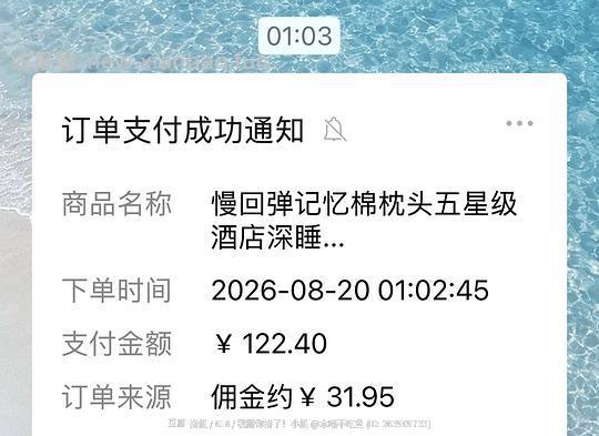 【走了🚗】速度！！枕头 2 块钱或者更低！！ - 线报酷