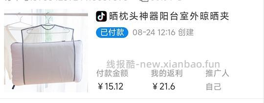 0薅4个双层晒枕头神器 - 线报酷