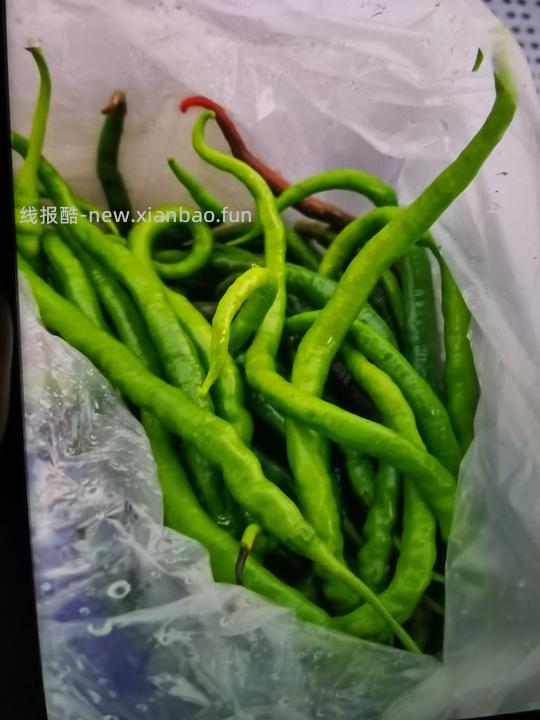 能吃辣的来  好吃的新鲜辣椒2斤4.3 - 线报酷