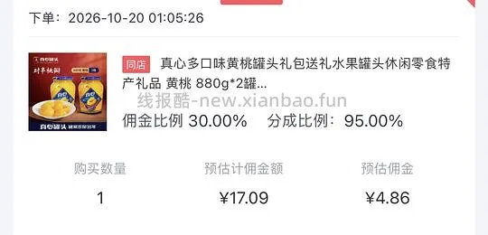 真心黄桃罐头880g  不到13两罐 - 线报酷