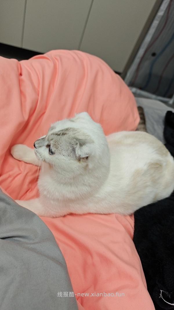 友望大白ultra除螨仪双十二购入分享 - 线报酷