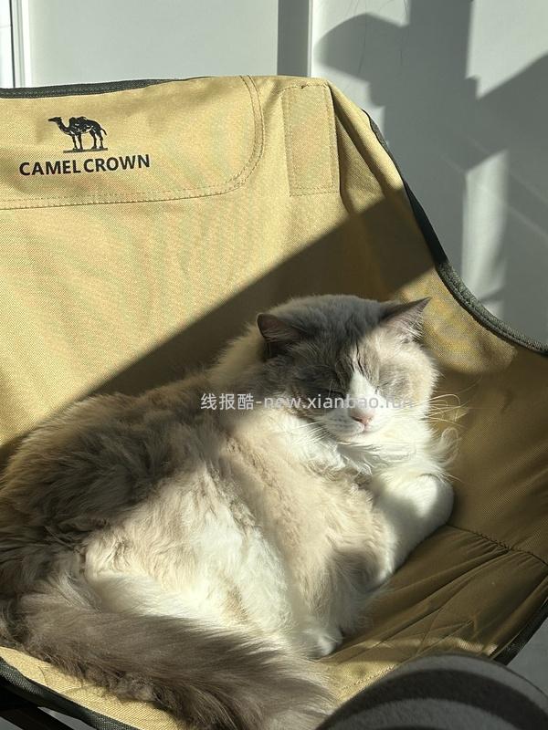 牧高笛月亮椅亲子款12左右（车走） - 线报酷