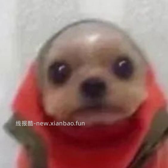 斐乐猫爪4好价 240多 - 线报酷