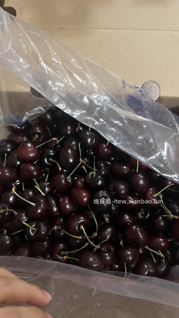 美团外卖5斤2j车厘子112 - 线报酷