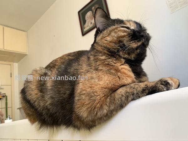 讨论/【科普】最简熟自制（好吃版）详细流程附器具清单 - 线报酷