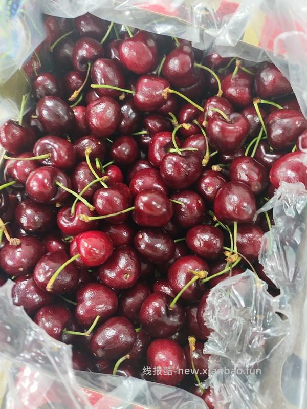 奥乐齐车厘子2j 105.2 - 线报酷