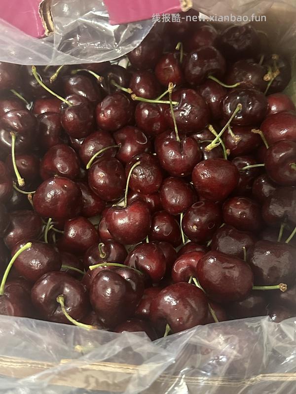 深圳大悦城盒马3J车厘子5斤119 - 线报酷