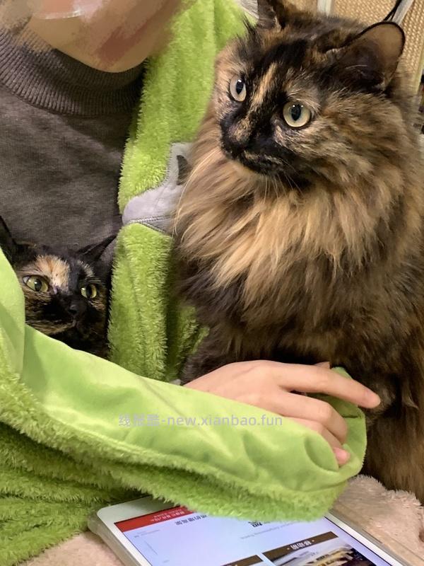 讨论/【科普】最简熟自制（好吃版）详细流程附器具清单 - 线报酷