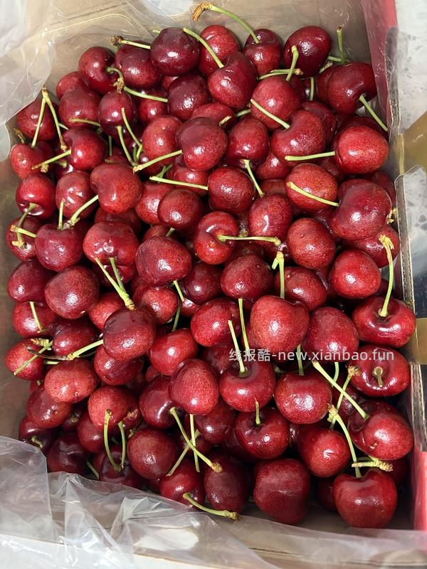 美团闪购车厘子作业 - 线报酷