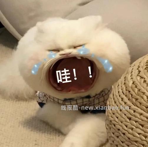 🚗回 ubras盲盒又有了 - 线报酷