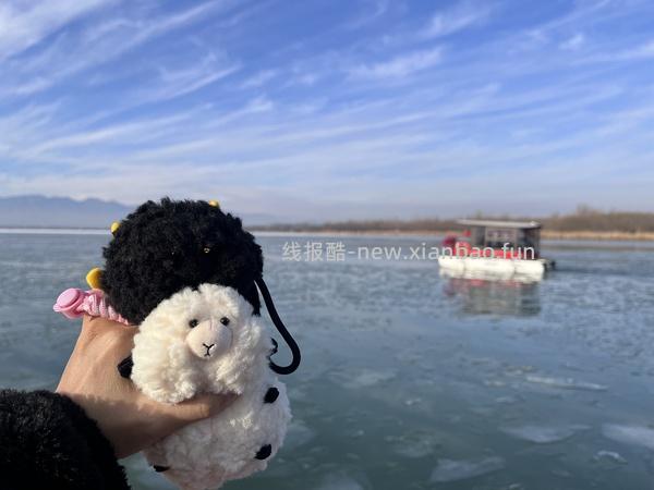 【交流】京东自营超市的滩羊整个25年都没做活动吗？ - 线报酷