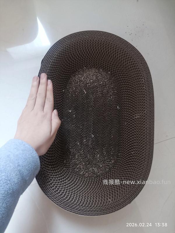 多猫家庭0元购实用猫抓板 垫子 垃圾袋 手套 猫砂 - 线报酷