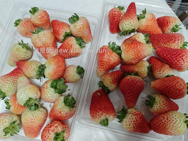 车走，20买四盒草莓 - 线报酷