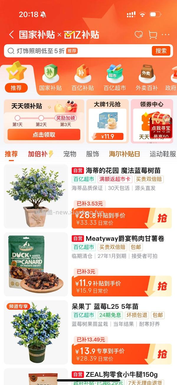 海蒂的花园蓝莓🫐盆栽17左右，果子很多 - 线报酷