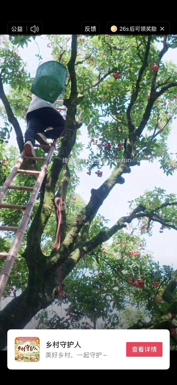 49买3x20ml安耐晒 - 线报酷