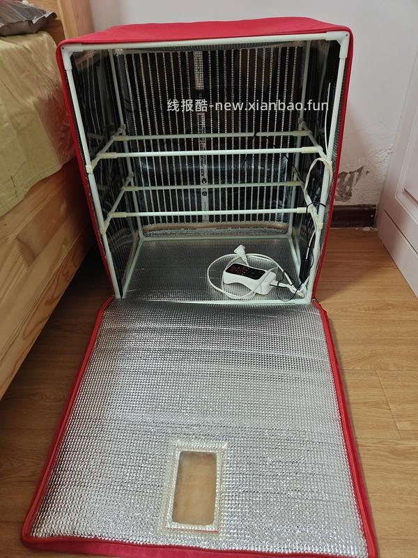 小熊酸奶机60出头 - 线报酷