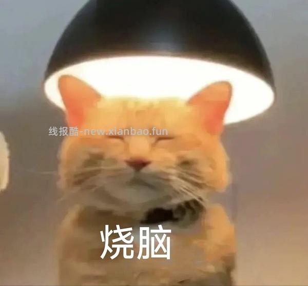 美的空调循环扇26绿色款205左右（好像走了） - 线报酷