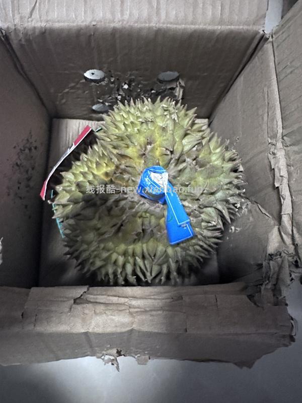 天猫超市便宜榴莲4斤以上四房87左右（车走没淘礼金了。） - 线报酷