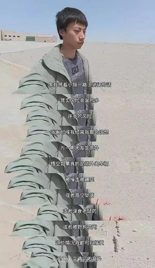 讨论/【科普】为什么在赵朔的叙事里悟空“必须”死于“抗凝血类老鼠药”？细思恐极 - 线报酷
