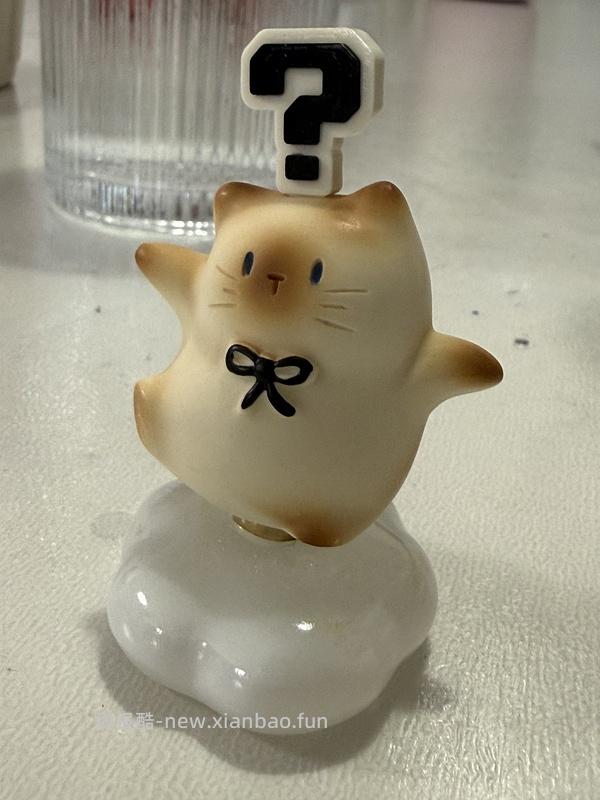 猫猫pal转转乐盲盒6r，可以解套金币 - 线报酷