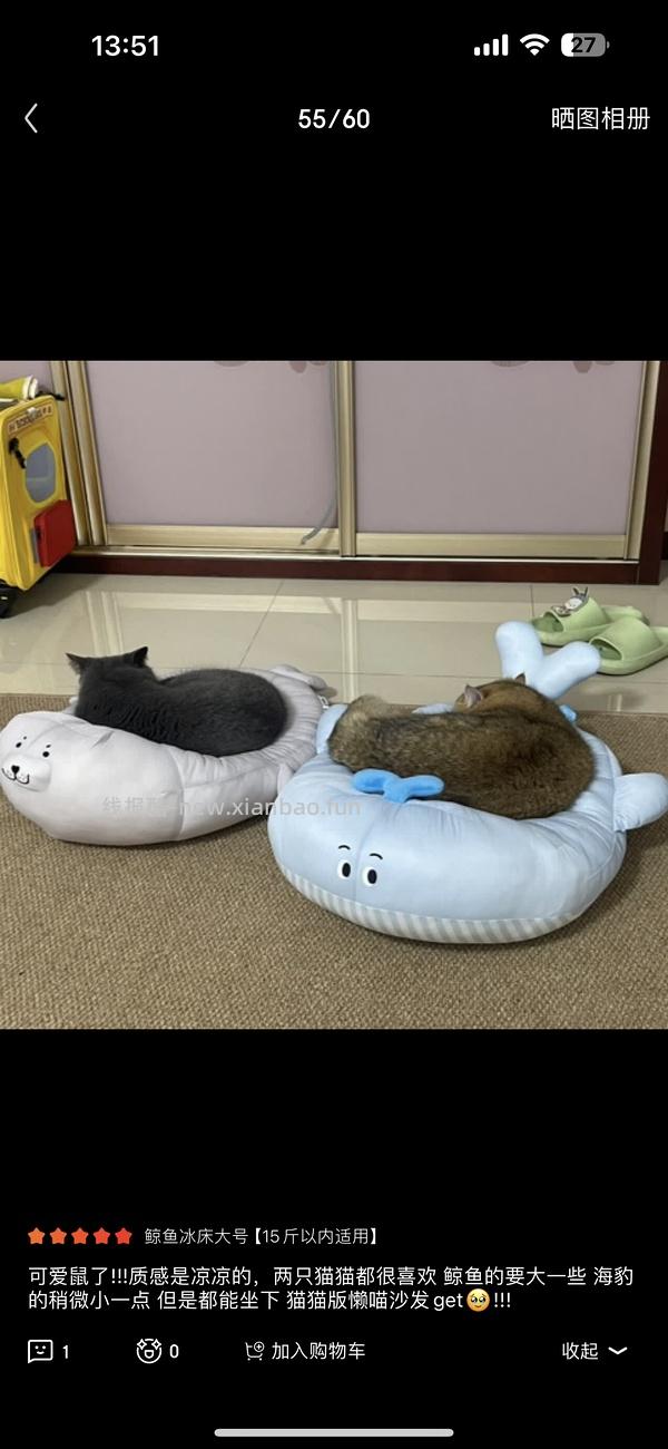 ZEZE猫窝海豹冰丝窝夏季凉窝高低弧度可枕猫垫子 鲸鱼冰床-小号44 - 线报酷