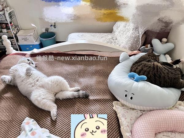 ZEZE猫窝海豹冰丝窝夏季凉窝高低弧度可枕猫垫子 鲸鱼冰床-小号44 - 线报酷