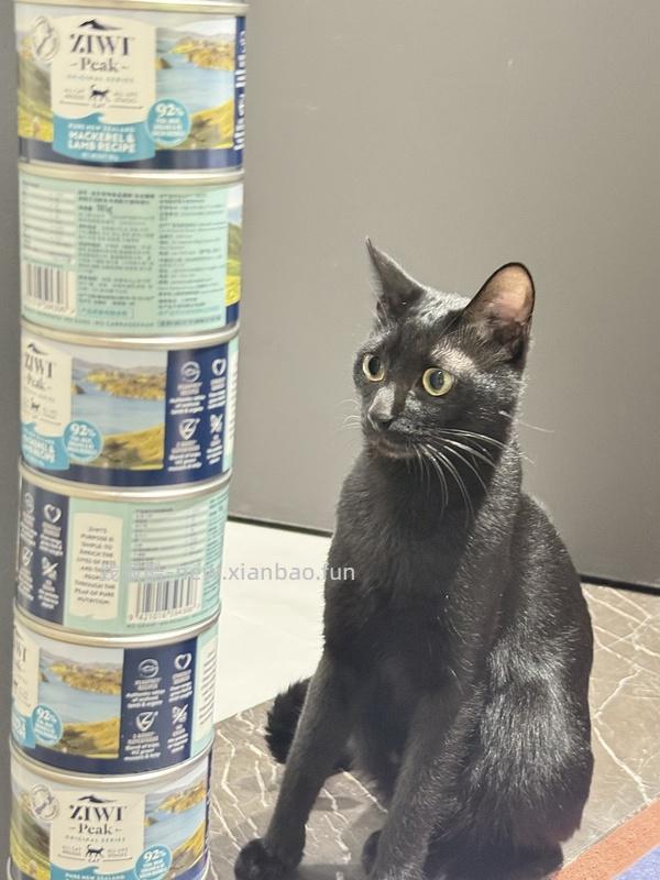 🐱超 驱虫💊福来恩3海乐妙3到手119 - 线报酷