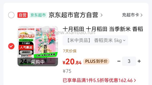 十月稻田10斤19r - 线报酷