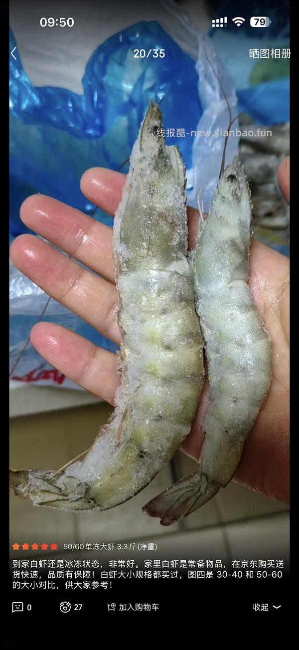 好吃且大个的鲜京采厄瓜多尔白虾20/30规格 加返利 61r3斤 - 线报酷