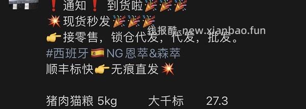 旗舰店ng猪 - 线报酷