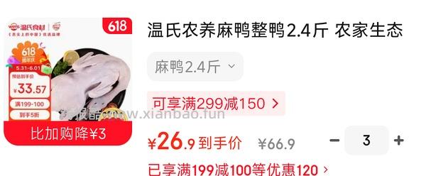 温氏老母鸡2.4斤 17.5元 - 线报酷