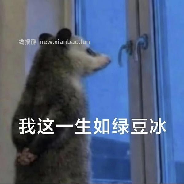 王家渡午餐肉198g*8+2临期香肠＝34 - 线报酷