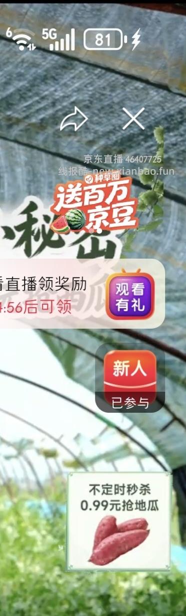 无籽麒麟西瓜5-7斤，8元一个或更低 - 线报酷