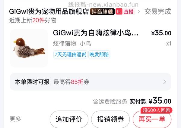 贵为小鸟13元左右一只 - 线报酷
