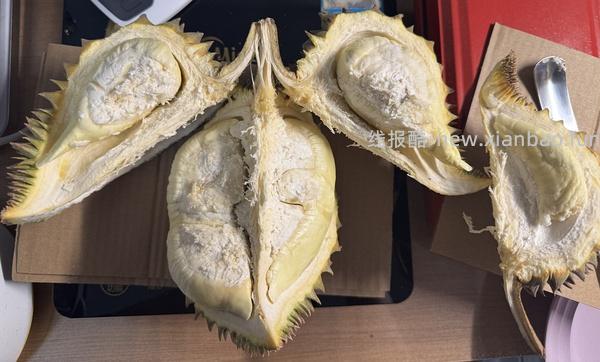 自营金枕榴莲买2-4个到手14斤以上，均价19每斤左右 - 线报酷